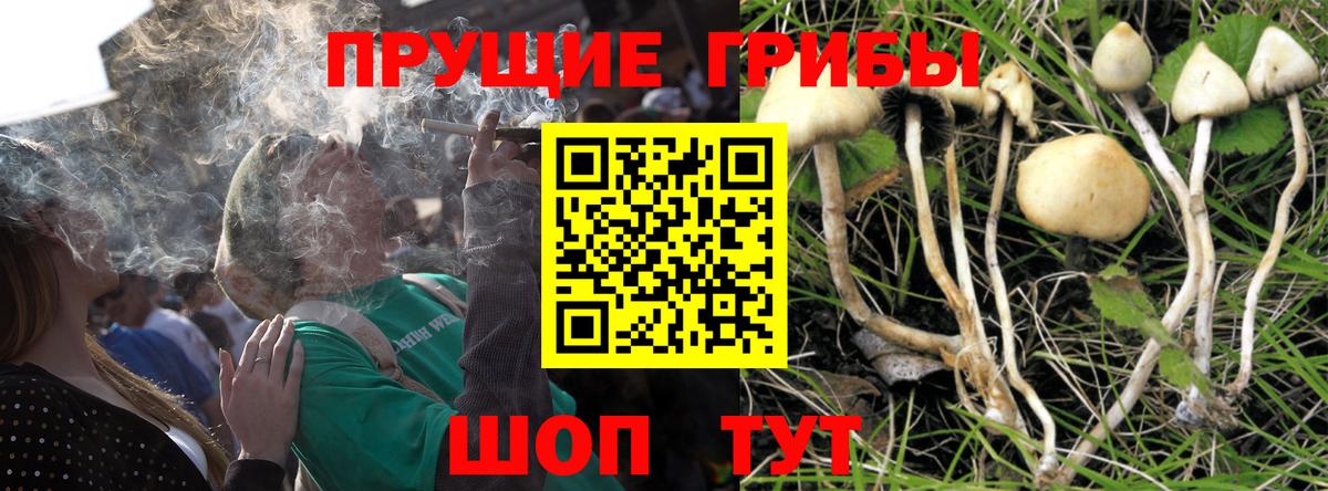 Галлюциногенные грибы Magic Shrooms Усть-Лабинск